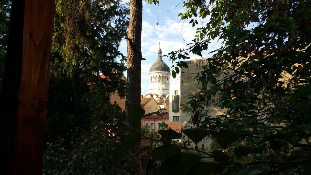 Zen Cluj-Napoca